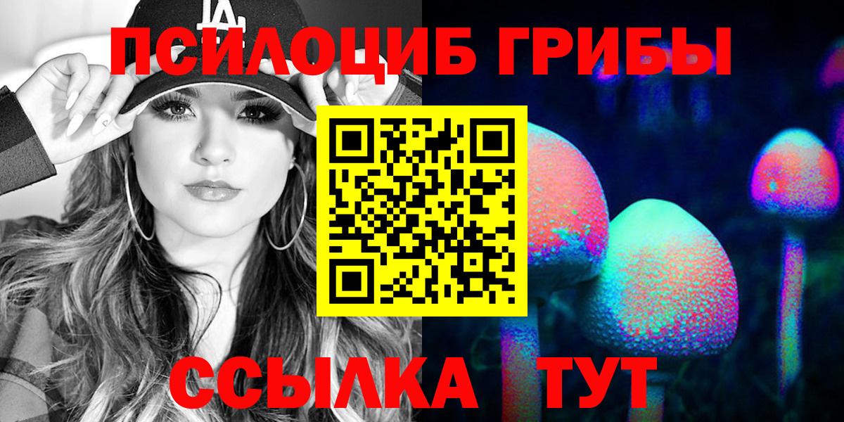 Вологда  Галлюциногенные грибы Psilocybine cubensis  Вход с VPN 