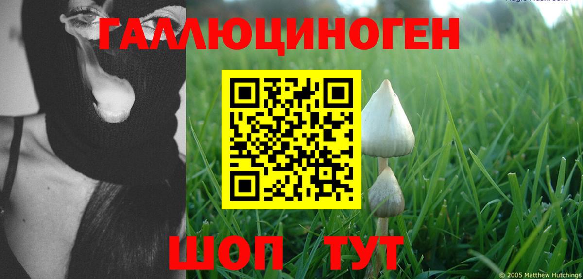 Псилоцибиновые грибы MAGIC MUSHROOMS Вологда